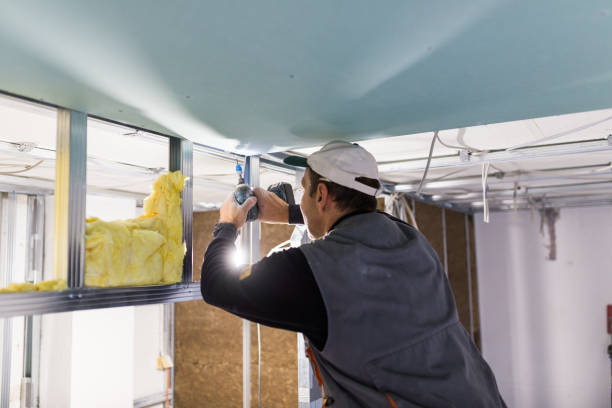 Best Residential Insulation Services  in Hawley, MN