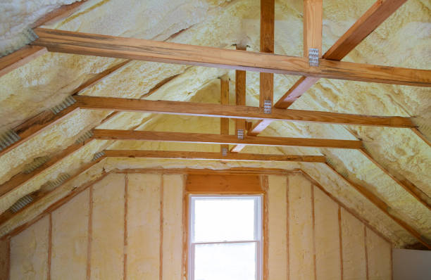 Best Energy-efficient Insulation  in Hawley, MN